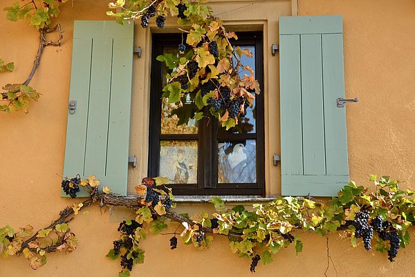 Fenster bei Volkach Fenster bei Volkach