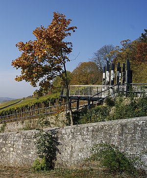 Am Stein-Wein-Pfad über Würzburg Am Stein-Wein-Pfad über Würzburg