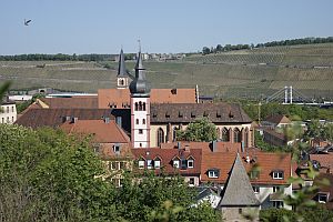 Würzburger Stein
